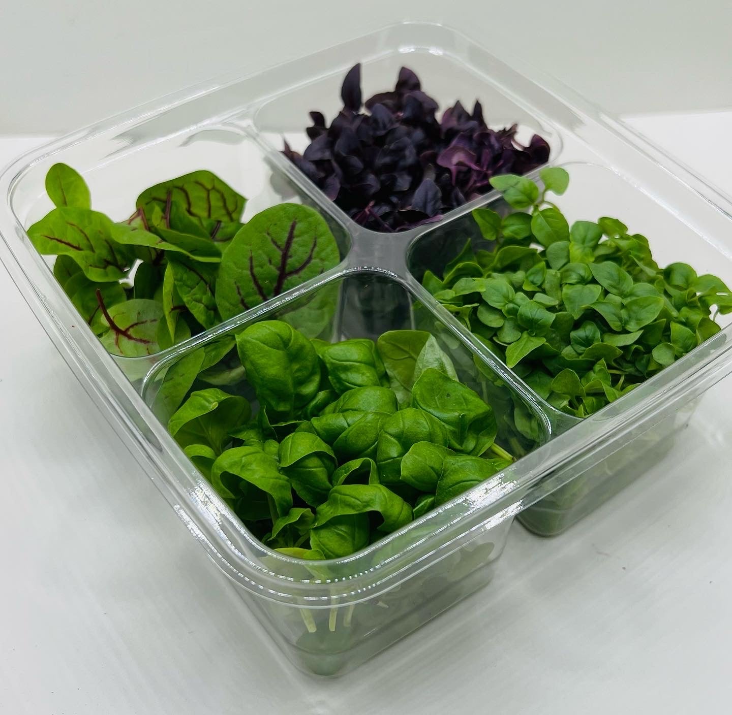 1:1 Consulting - 5 hours