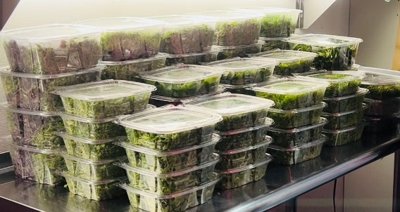 1:1 Consulting - 1 hour