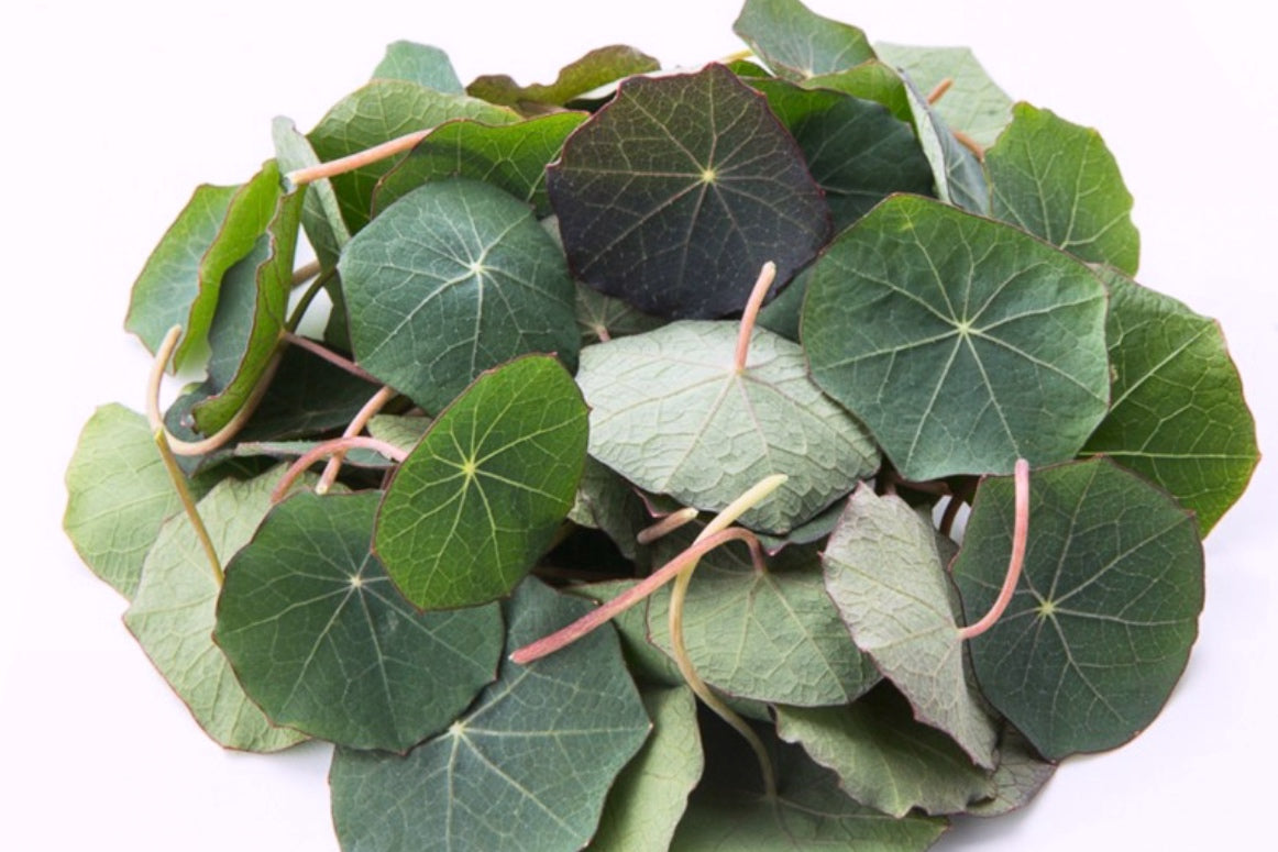 Nasturtium - 2 oz