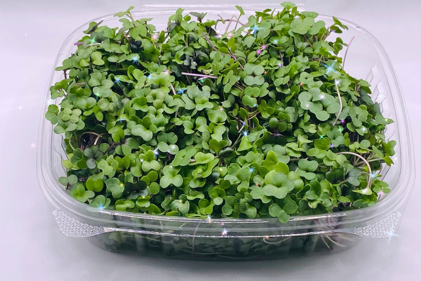 Kale Microgreens - 4 oz