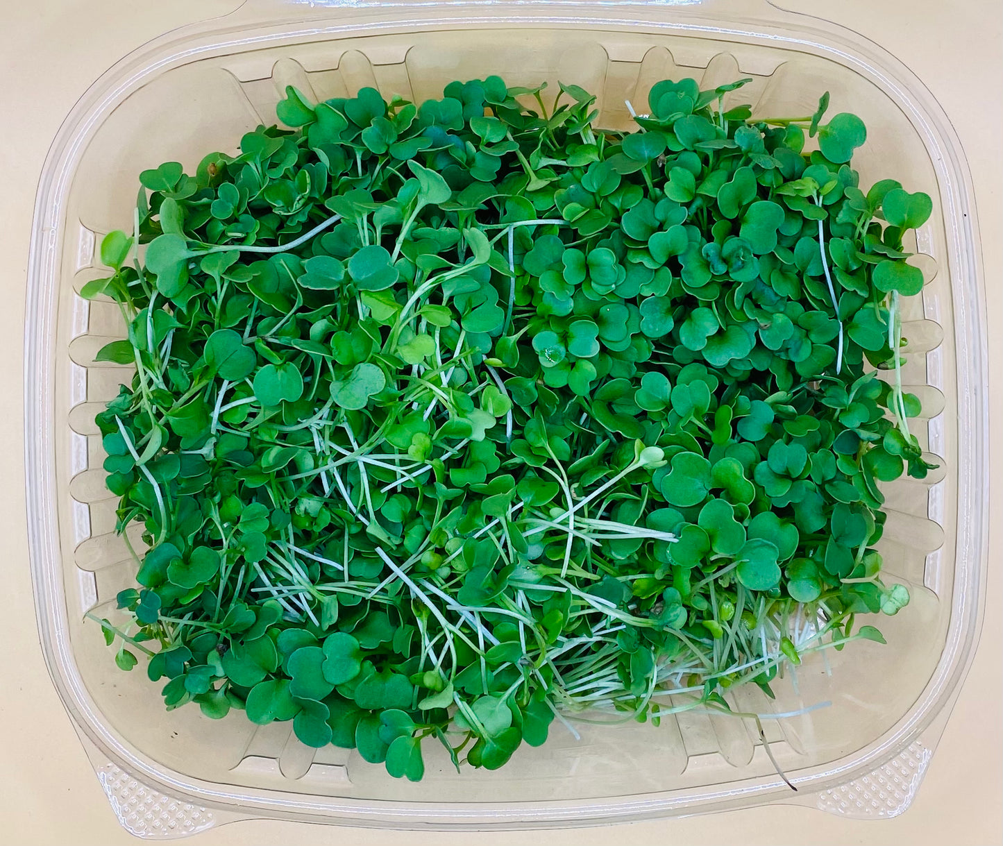 Micro Arugula - 2 oz