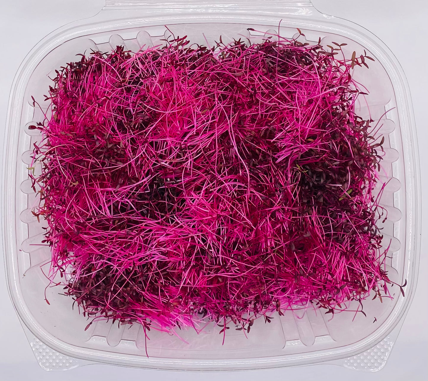 Micro Amaranth - 2 oz