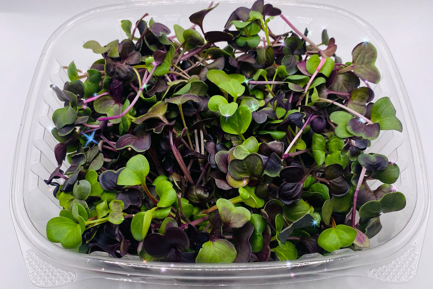 Roly Poly Radish - 4 oz