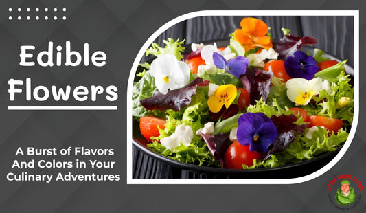 Edible Flowers: A Burst of Flavors and Colors in Your Culinary Adventures