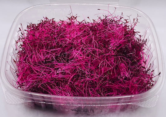 Micro Amaranth - 2 oz