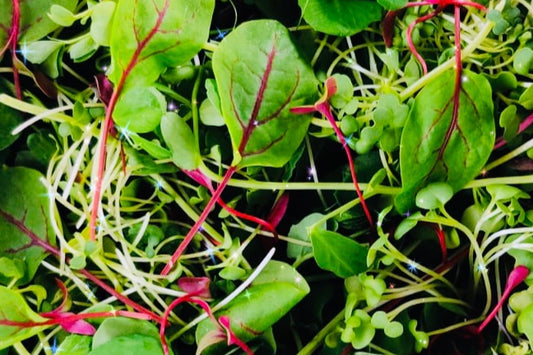 Elemental Blend - 8 oz